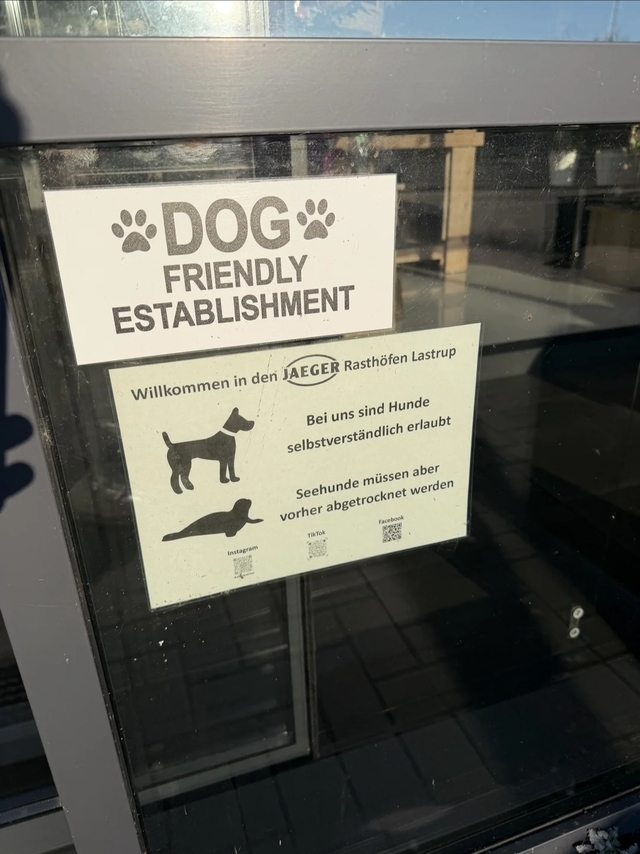 Bildschirmarbeiter - Picdump KW 02/2026