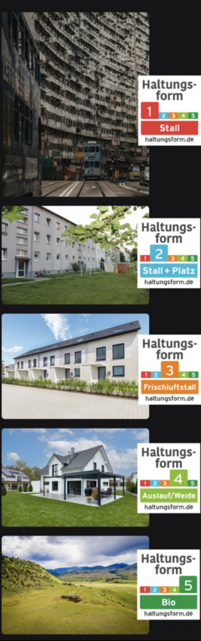 Bildschirmarbeiter - Picdump KW 02/2026