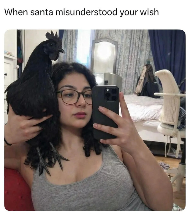 Bildschirmarbeiter - Picdump KW 02/2026