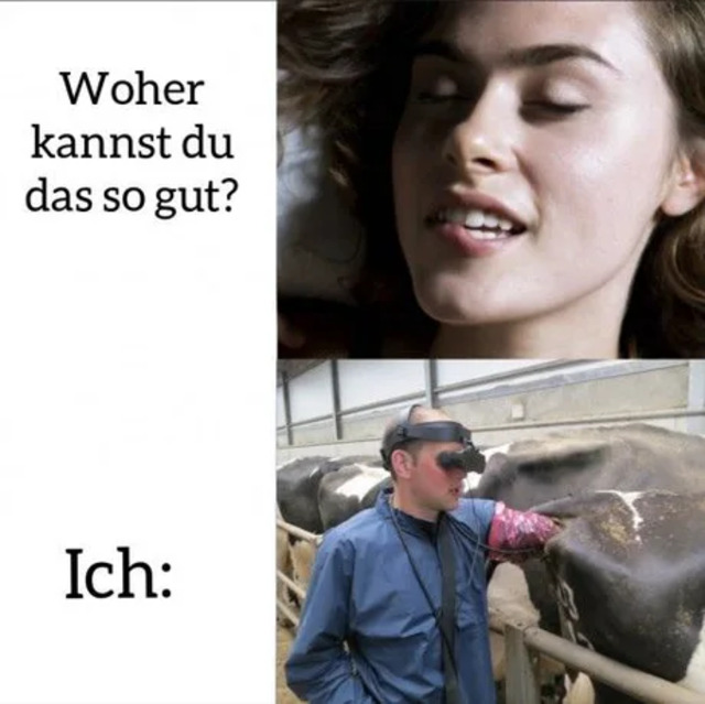 Bildschirmarbeiter - Picdump KW03 2021