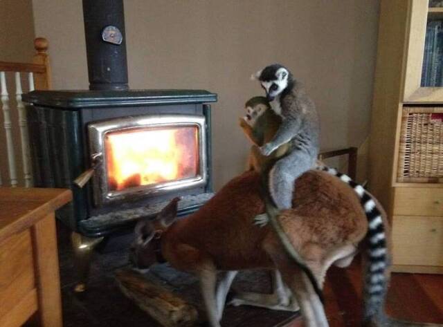 Bildschirmarbeiter - Picdump KW03 2021