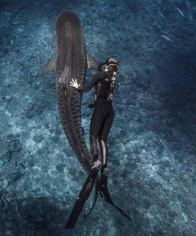 Bildschirmarbeiter - Picdump KW03 2021