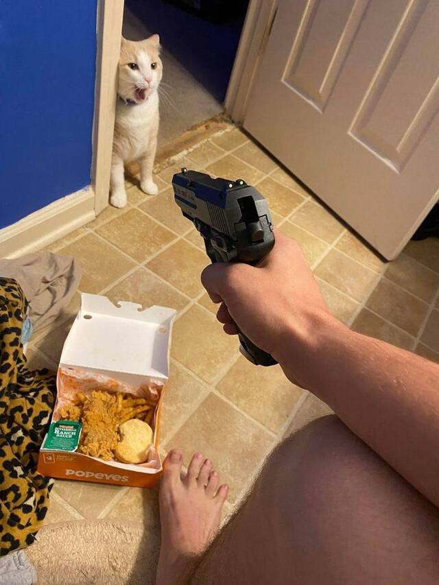 Bildschirmarbeiter - Picdump KW03 2021