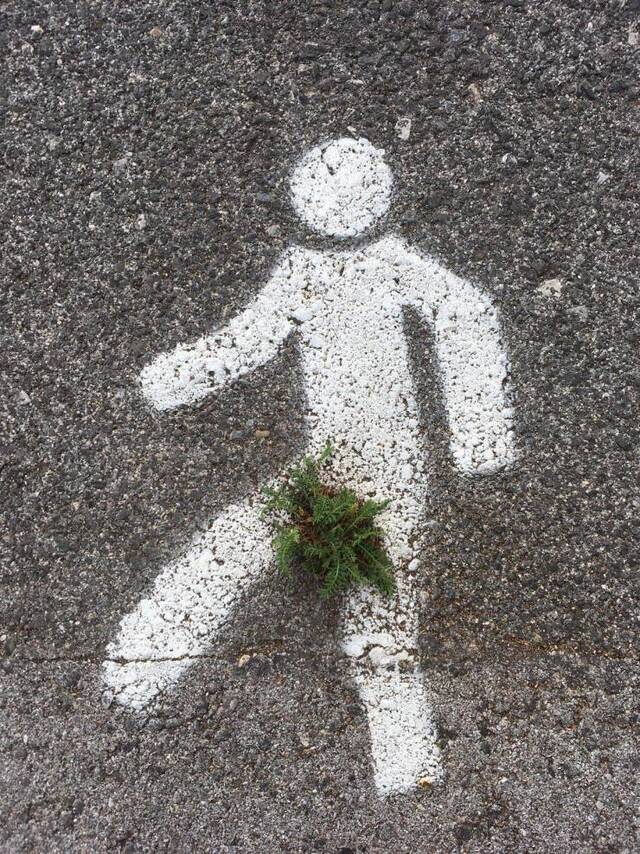 Bildschirmarbeiter - Picdump KW03 2021