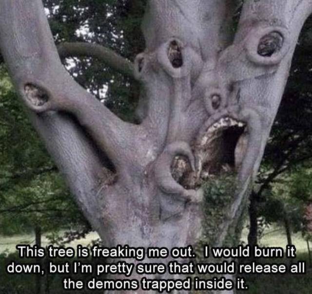 Bildschirmarbeiter - Picdump KW03 2021