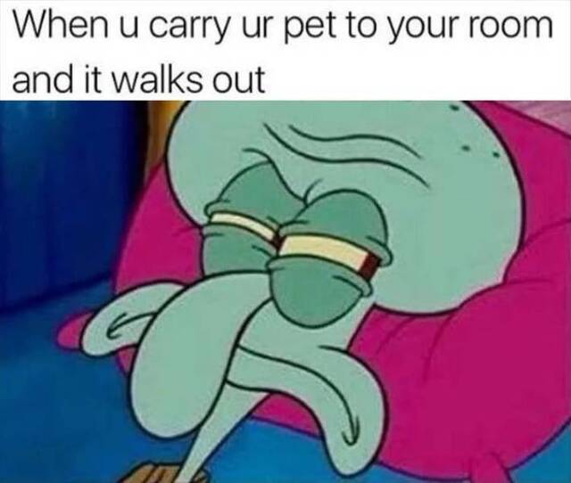 Bildschirmarbeiter - Picdump KW03 2021