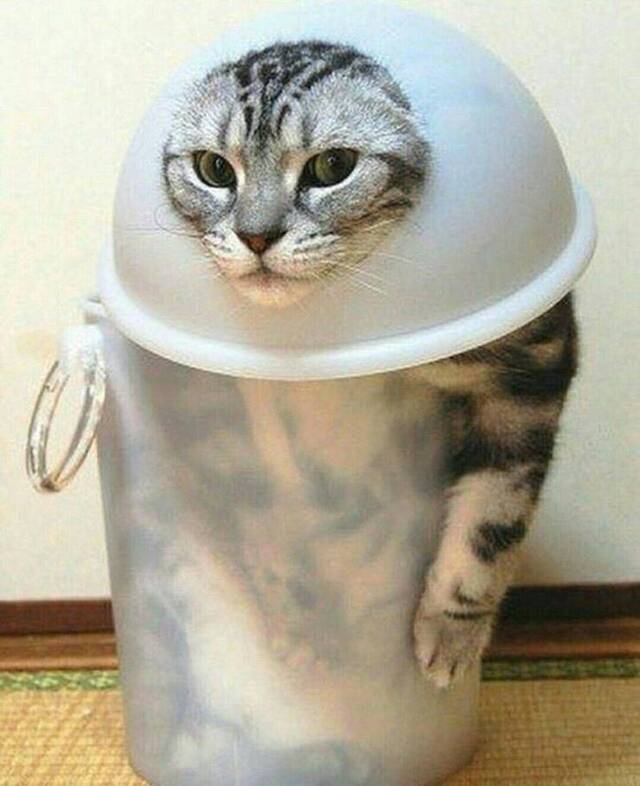 Bildschirmarbeiter - Picdump KW03 2021