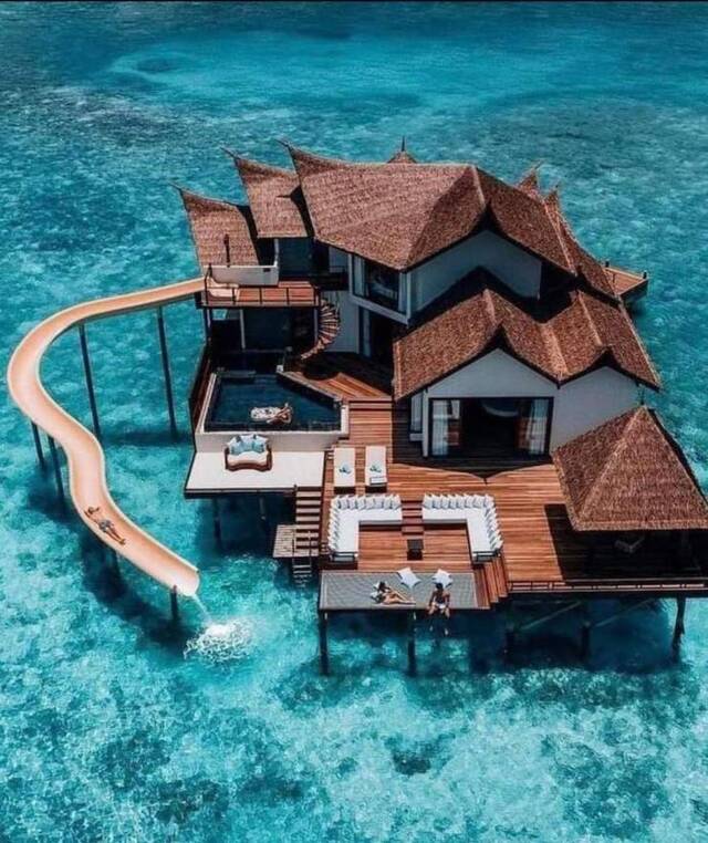 Bildschirmarbeiter - Picdump KW03 2021