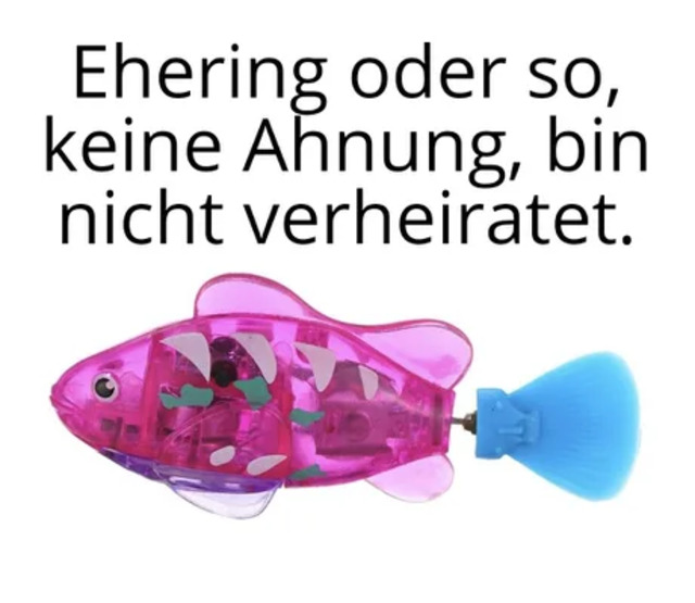 Bildschirmarbeiter - Picdump KW03 2022