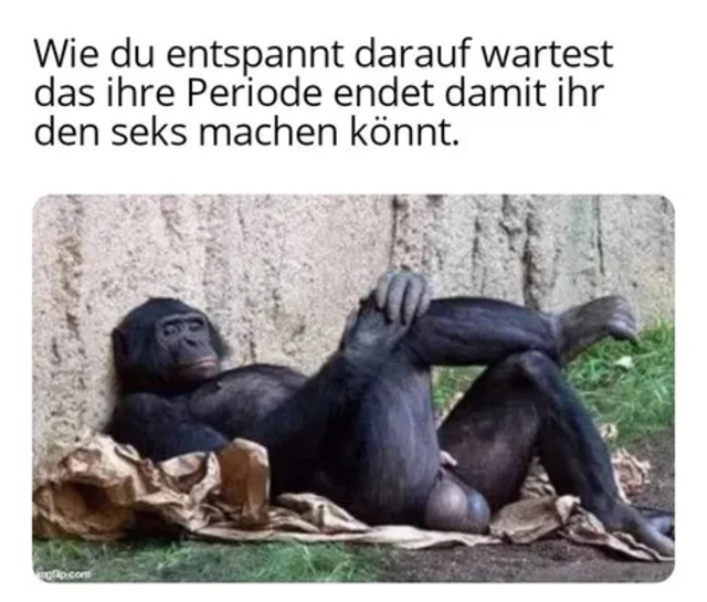 Bildschirmarbeiter - Picdump KW03 2022