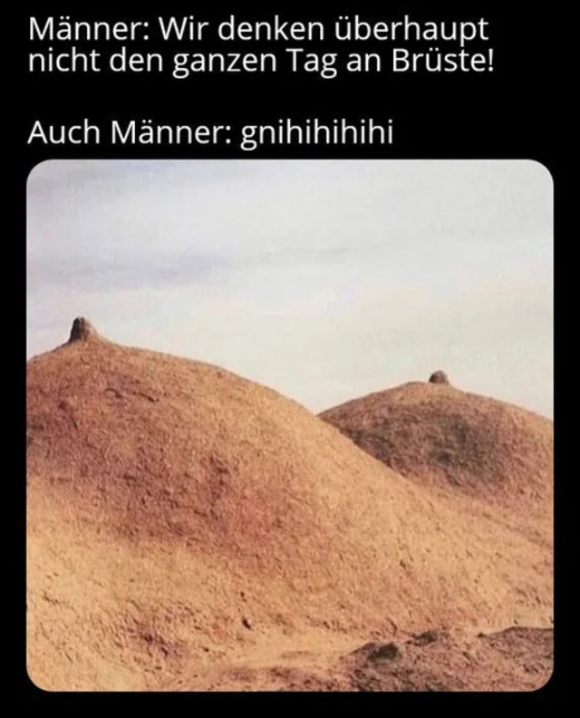 Bildschirmarbeiter - Picdump KW03 2022