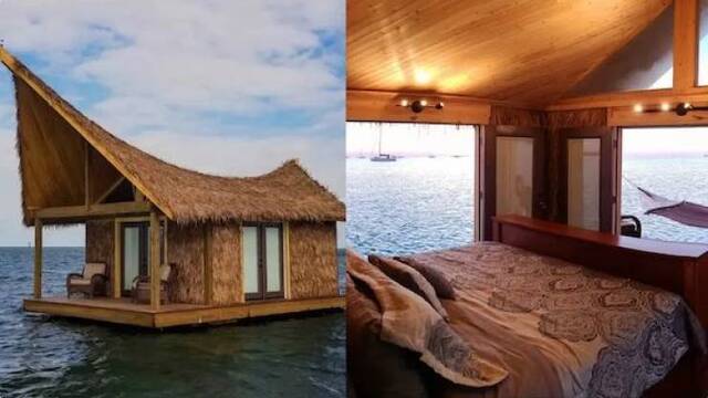 Bildschirmarbeiter - Picdump KW03 2022