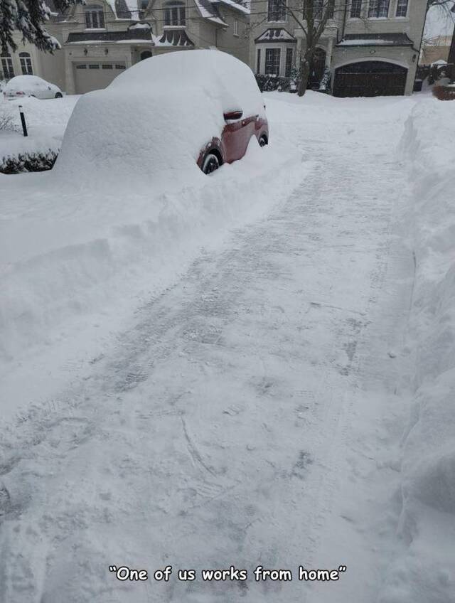 Bildschirmarbeiter - Picdump KW03 2022