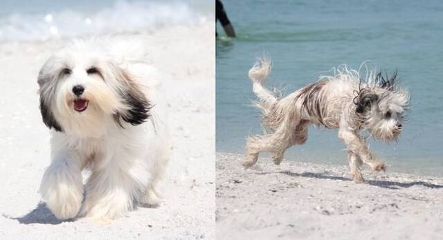 Bildschirmarbeiter - Picdump KW03 2022