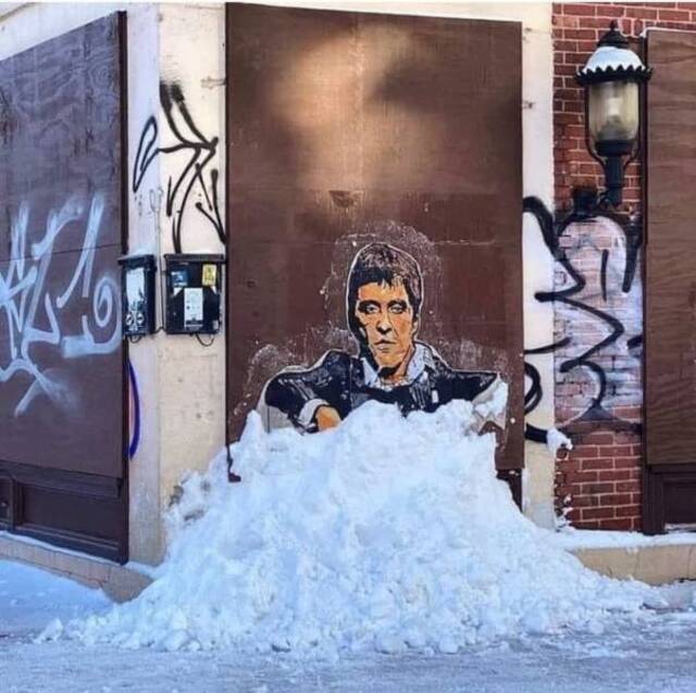 Bildschirmarbeiter - Picdump KW03 2022