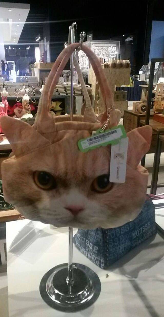 Bildschirmarbeiter - Picdump KW03 2022