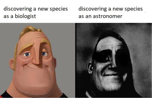 Bildschirmarbeiter - Picdump KW03 2022