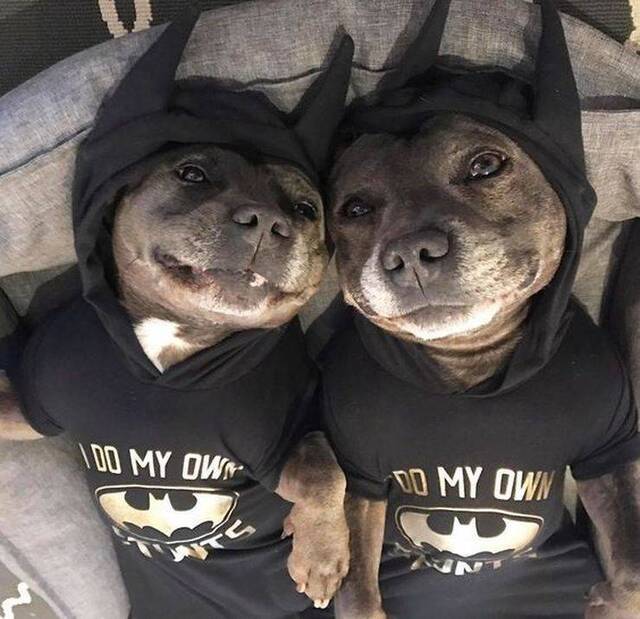 Bildschirmarbeiter - Picdump KW 03/2026