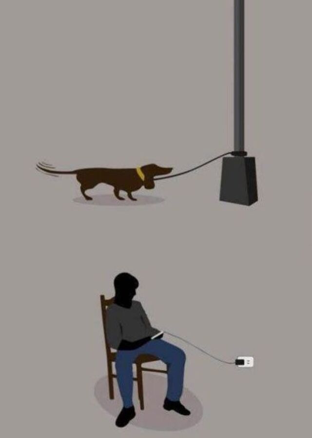 Bildschirmarbeiter - Picdump KW 03/2026