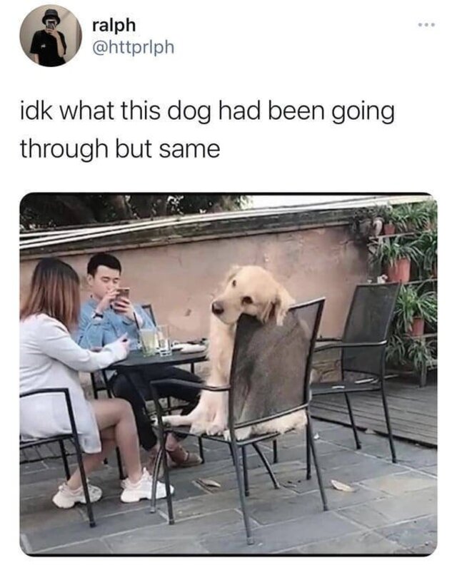 Bildschirmarbeiter - Picdump KW 03/2026