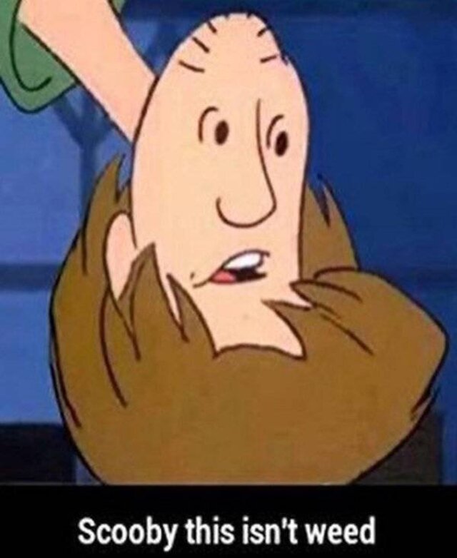 Bildschirmarbeiter - Picdump KW 03/2026