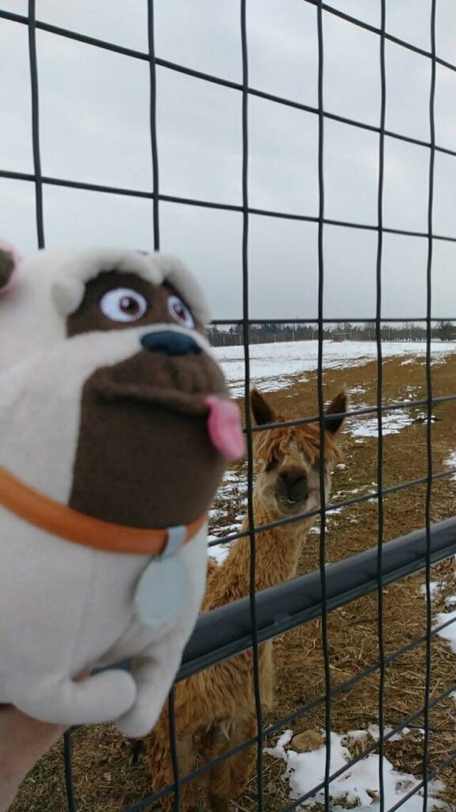 Bildschirmarbeiter - Picdump KW 03/2026