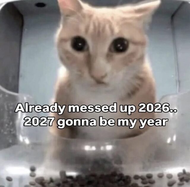 Bildschirmarbeiter - Picdump KW 03/2026