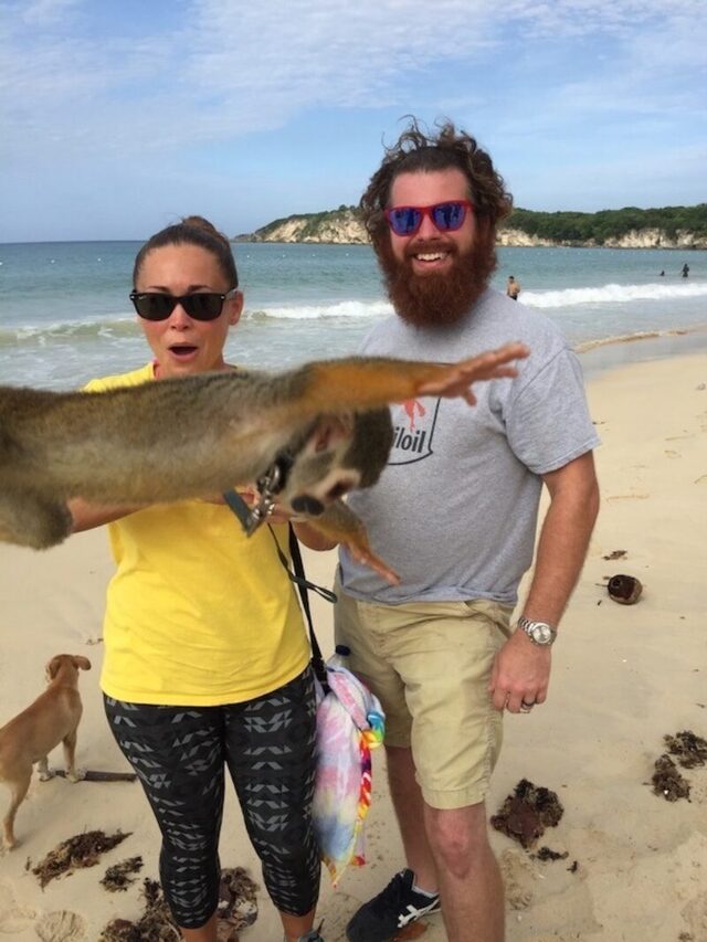 Bildschirmarbeiter - Picdump KW 03/2026