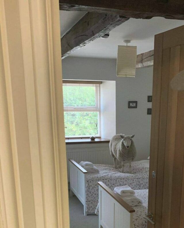 Bildschirmarbeiter - Picdump KW 03/2026