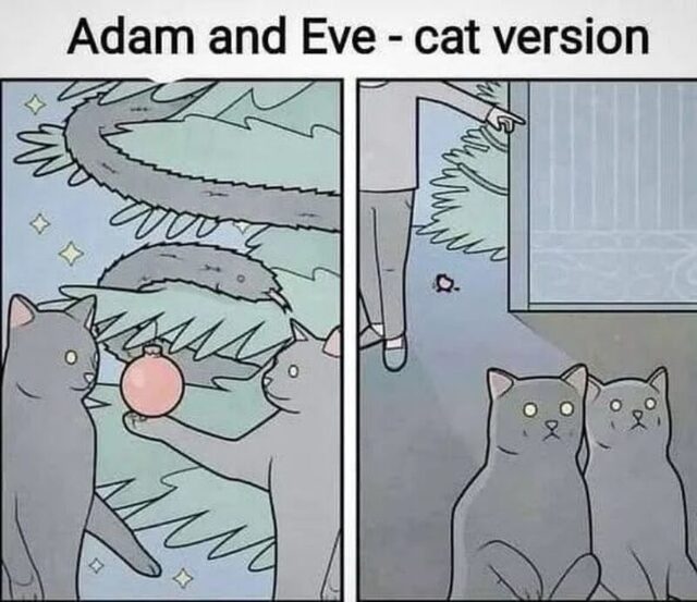 Bildschirmarbeiter - Picdump KW 03/2026