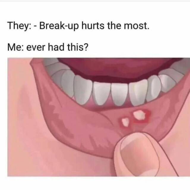 Bildschirmarbeiter - Picdump KW 03/2026