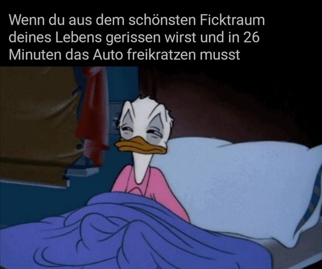 Bildschirmarbeiter - Picdump KW 03/2026