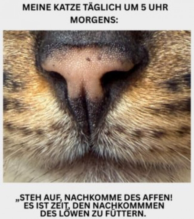 Bildschirmarbeiter - Picdump KW 03/2026