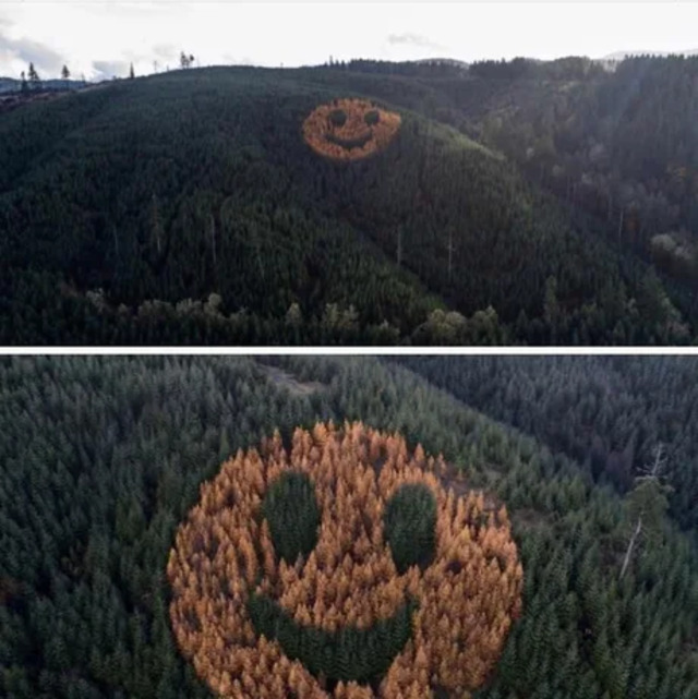 Bildschirmarbeiter - Picdump KW04 2021