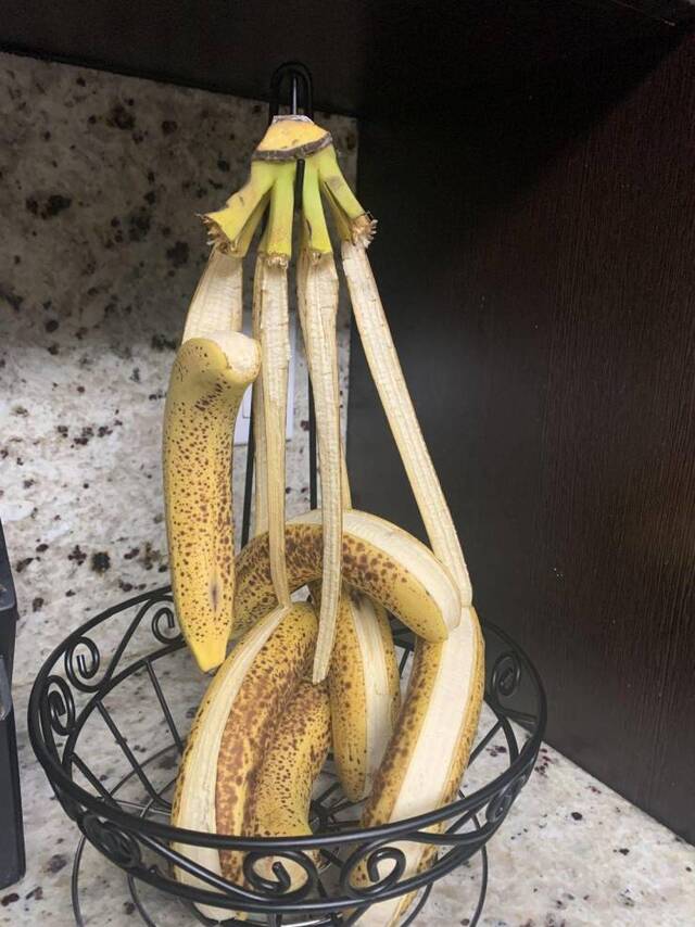 Bildschirmarbeiter - Picdump KW04 2021