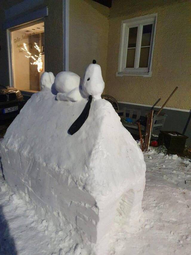 Bildschirmarbeiter - Picdump KW04 2021