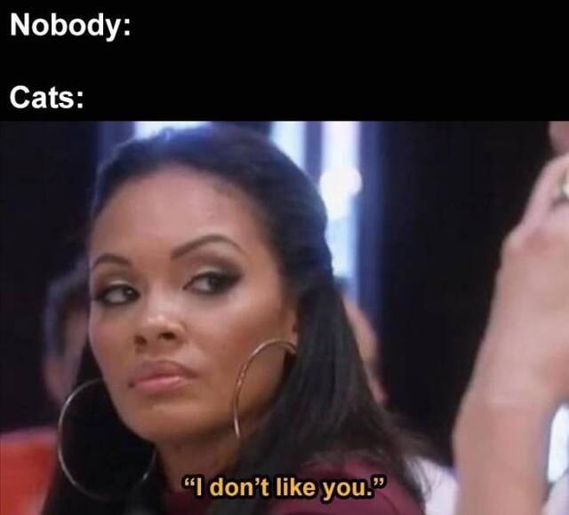 Bildschirmarbeiter - Picdump KW04 2021