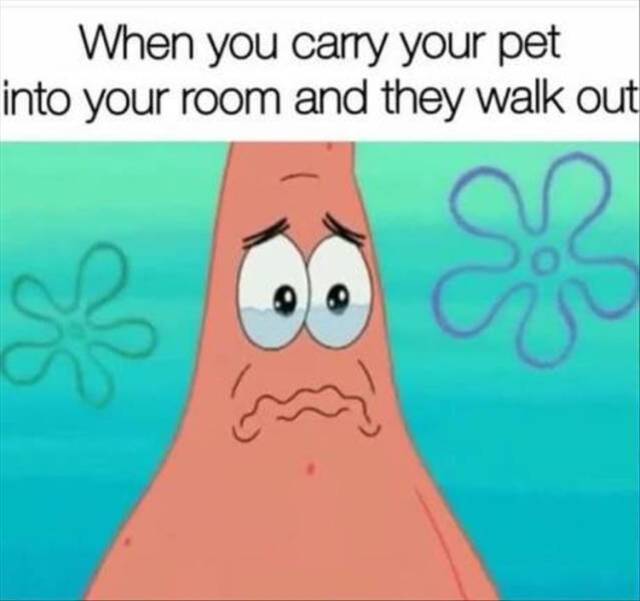 Bildschirmarbeiter - Picdump KW04 2021