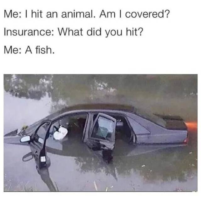 Bildschirmarbeiter - Picdump KW04 2021