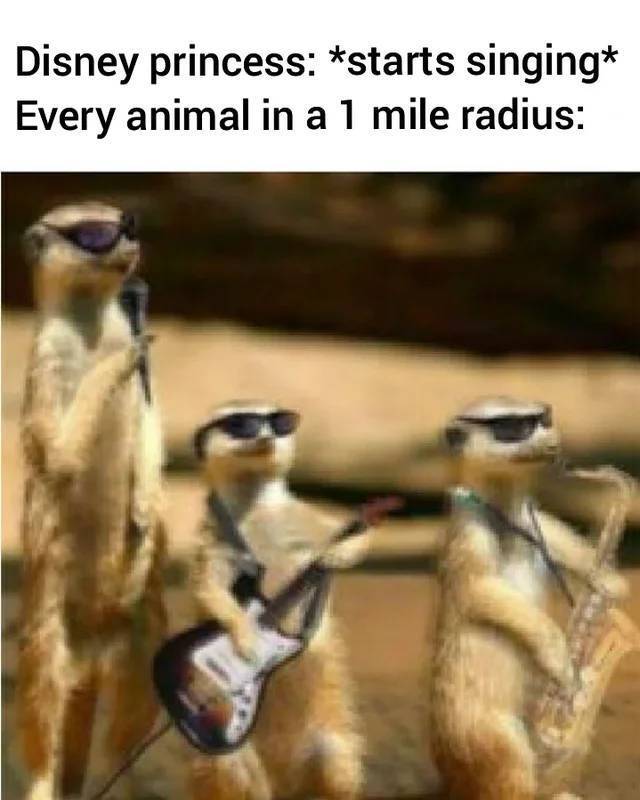 Bildschirmarbeiter - Picdump KW04 2021