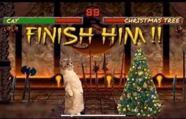 Bildschirmarbeiter - Picdump KW04 2021