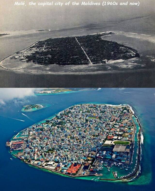 Bildschirmarbeiter - Picdump KW04 2021