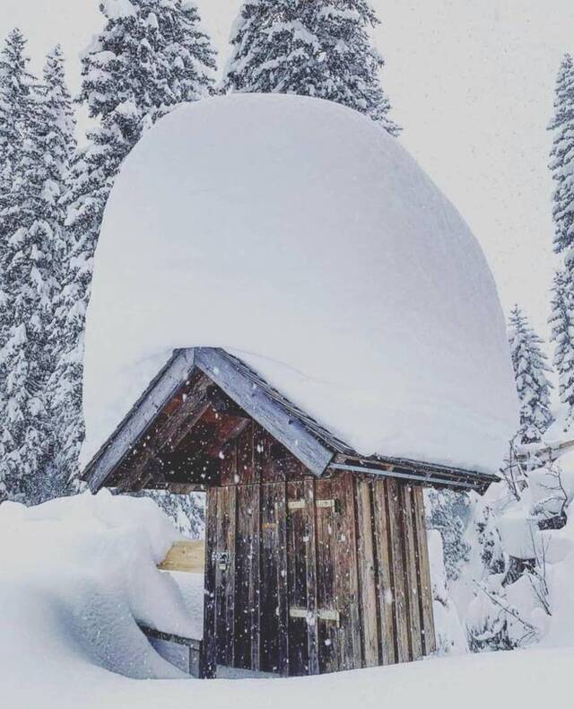 Bildschirmarbeiter - Picdump KW04 2021