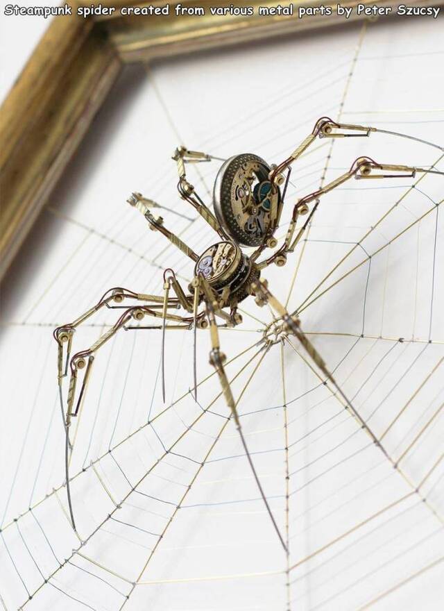 Bildschirmarbeiter - Picdump KW04 2021