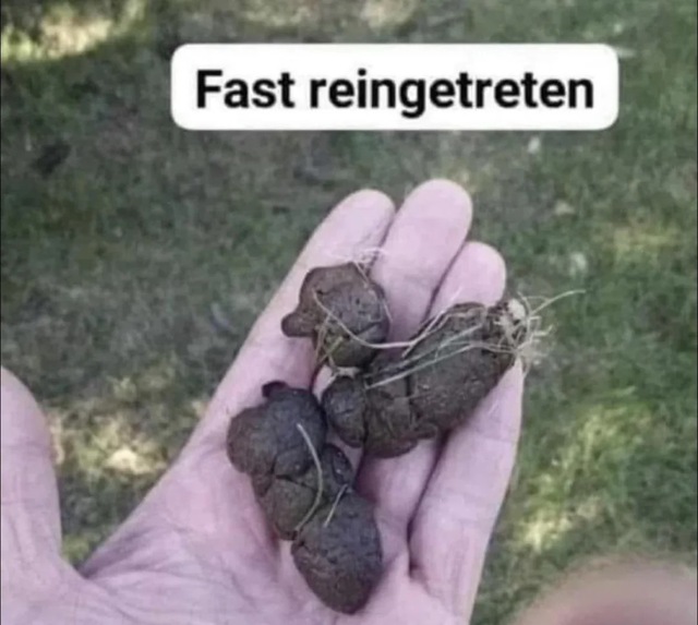 Bildschirmarbeiter - Picdump KW 04/2026