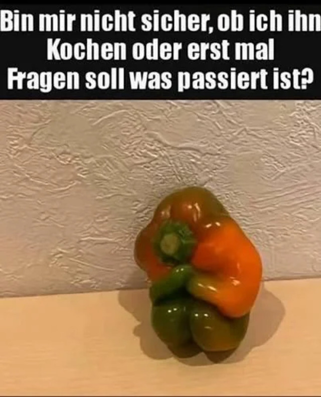 Bildschirmarbeiter - Picdump KW 04/2026