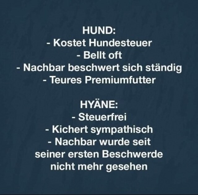 Bildschirmarbeiter - Picdump KW05 2021