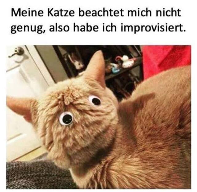 Bildschirmarbeiter - Picdump KW05 2021