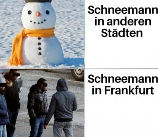 Bildschirmarbeiter - Picdump KW05 2021