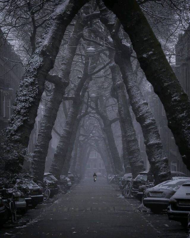 Bildschirmarbeiter - Picdump KW05 2021